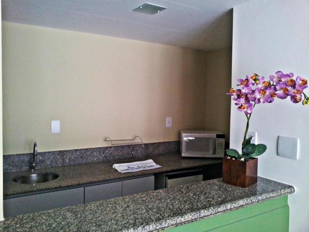Park Flat Savassi Aparthotel Belo Horizonte Kültér fotó